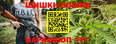 сатива Тула