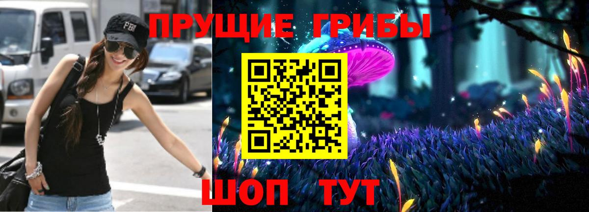 Галлюциногенные грибы Psilocybine cubensis Осинники